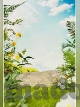 糖心官网app-唯创新者赢,揭秘糖心官网APP的全新时代